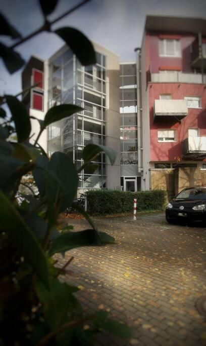 Schoenes Apt In Zentraler Lage Freiburg im Breisgau Exterior foto